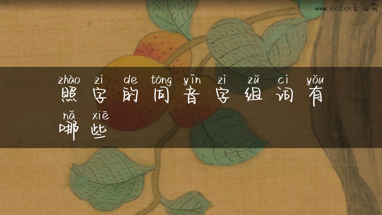 照字的同音字组词有哪些