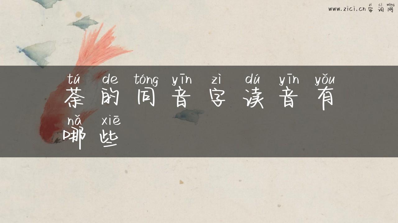 荼的同音字读音有哪些