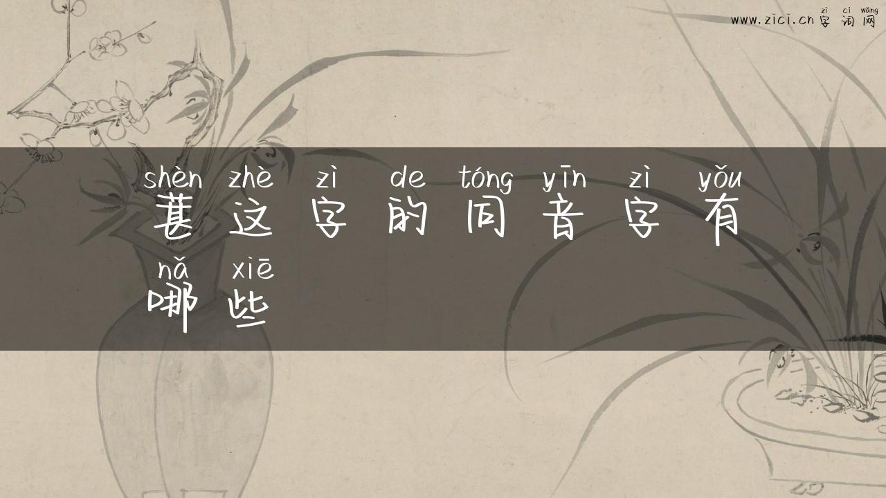 葚这字的同音字有哪些