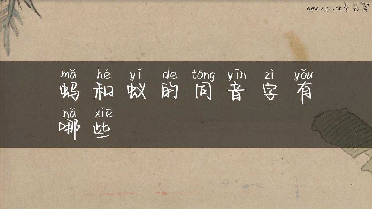 蚂和蚁的同音字有哪些