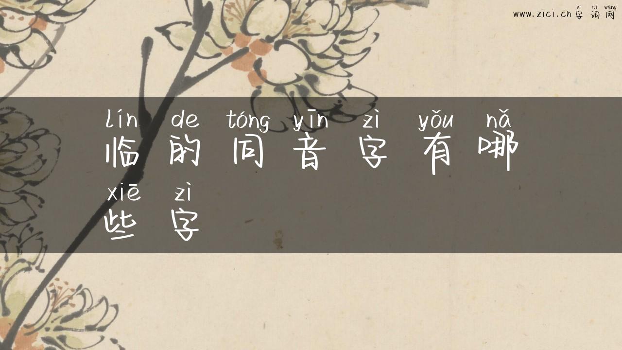 临的同音字有哪些字