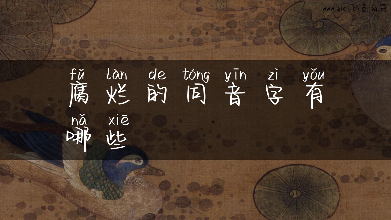 腐烂的同音字有哪些