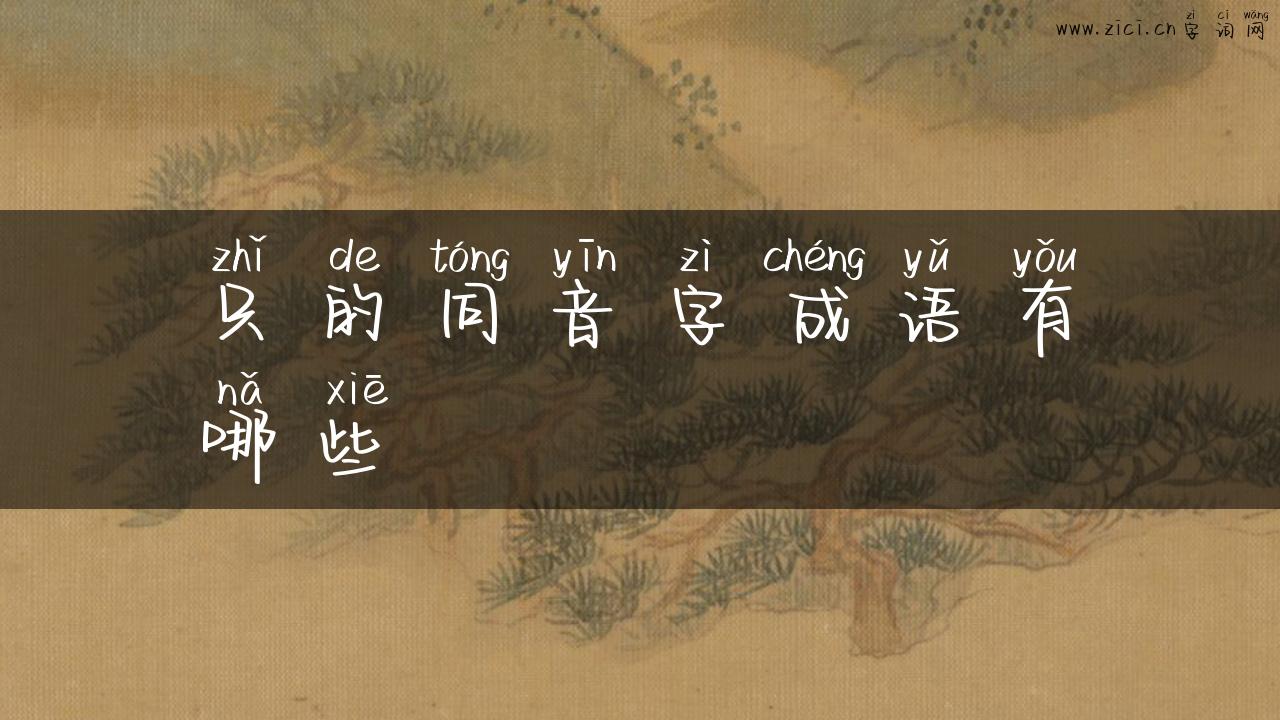 只的同音字成语有哪些