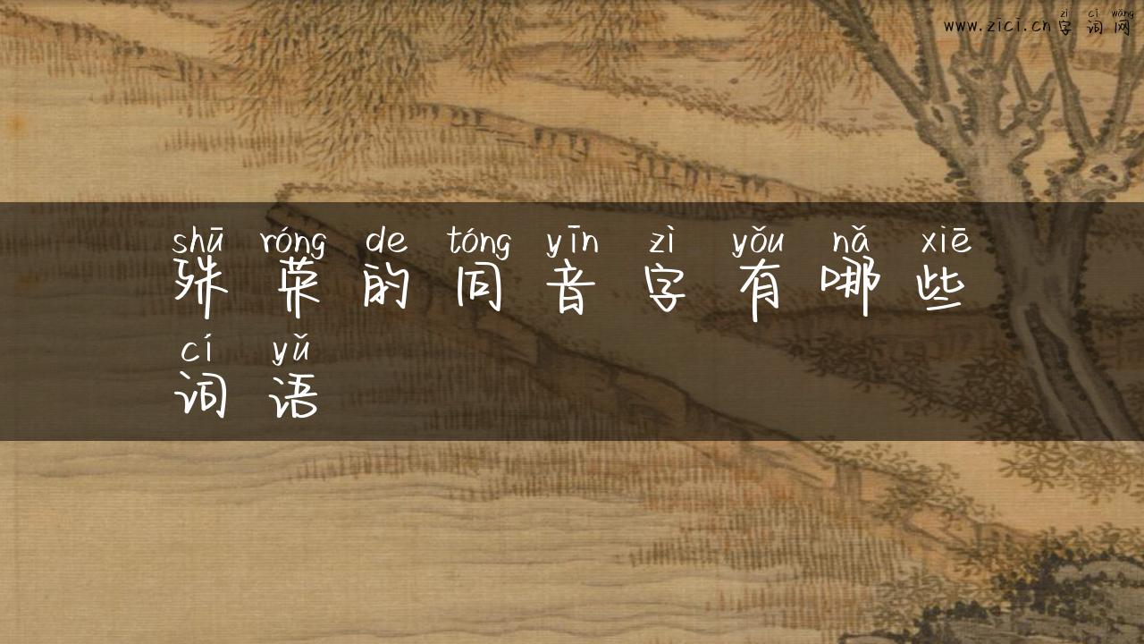 殊荣的同音字有哪些词语