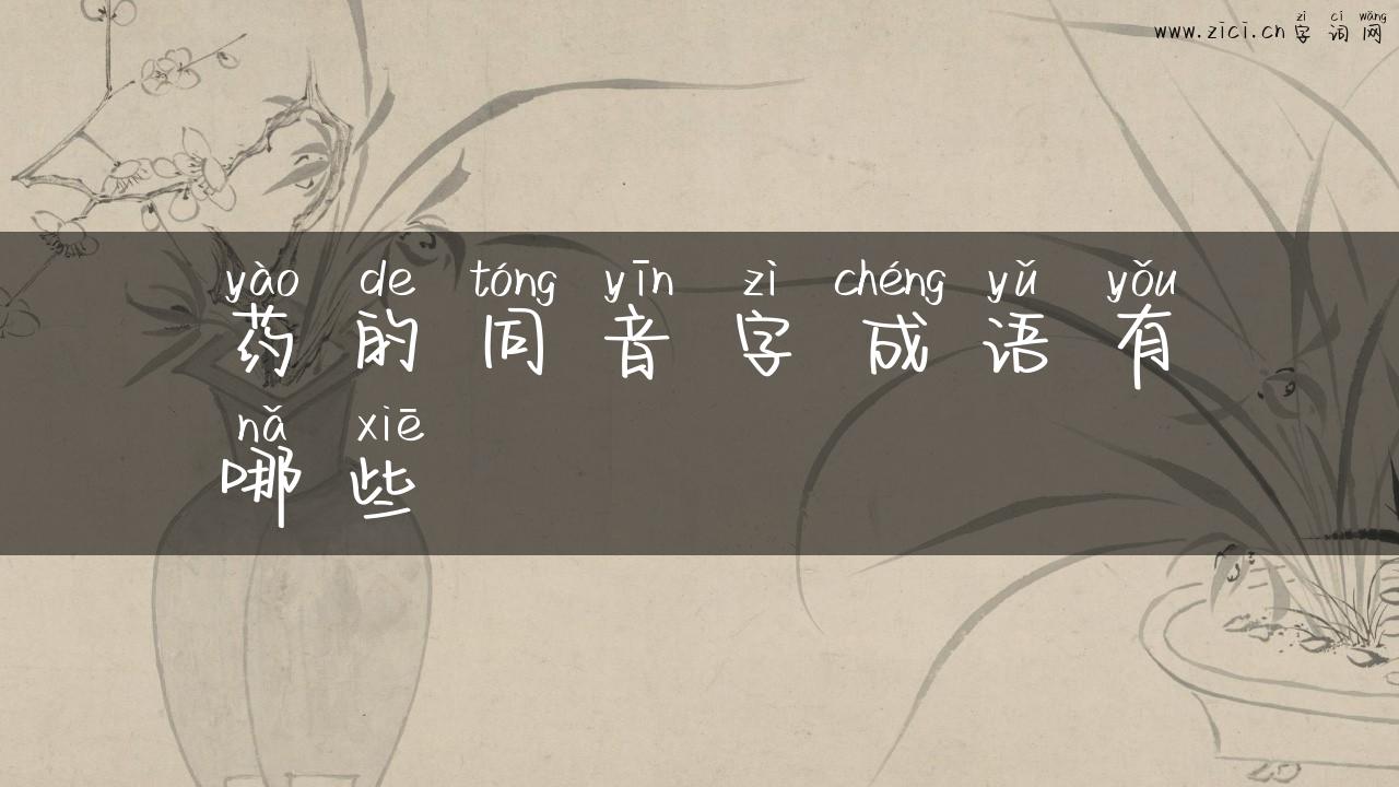 药的同音字成语有哪些