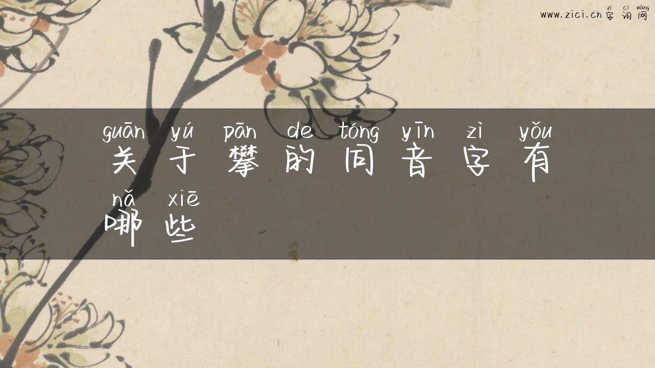 关于攀的同音字有哪些