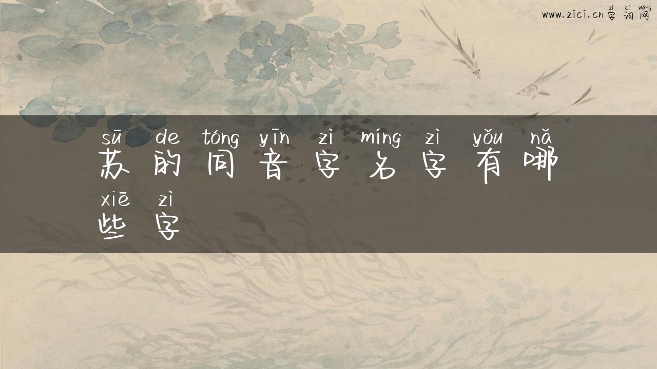 苏的同音字名字有哪些字