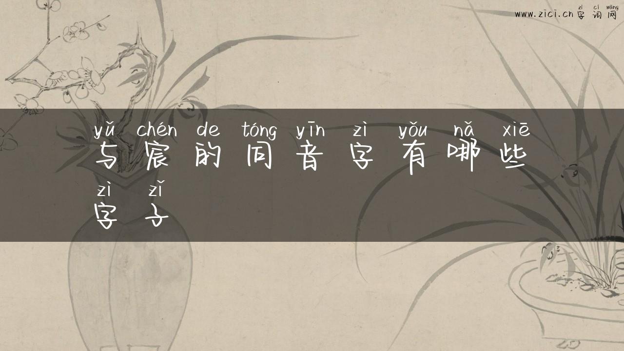 与宸的同音字有哪些字子