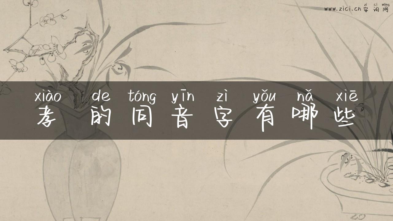 孝 的同音字有哪些