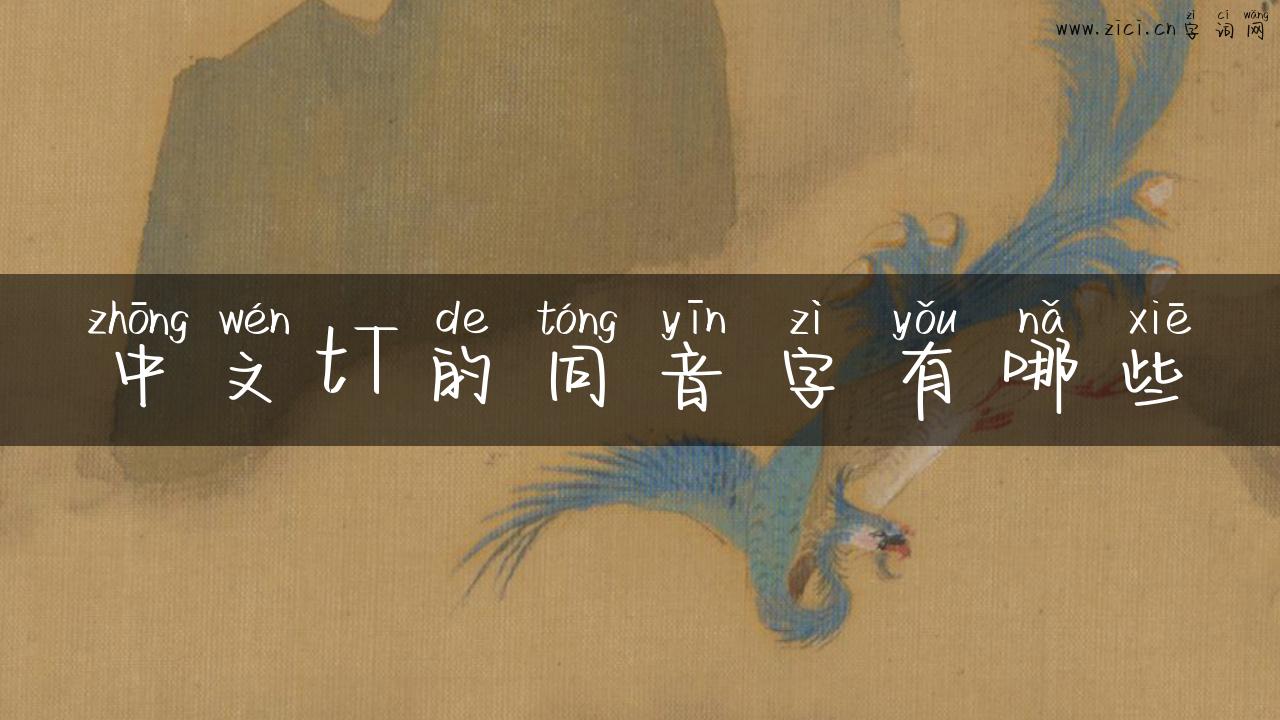 中文tT的同音字有哪些