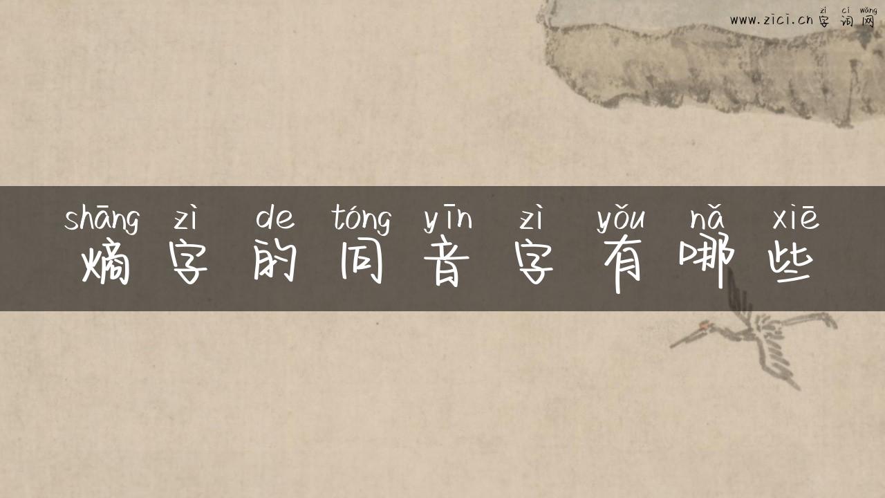 熵字的同音字有哪些