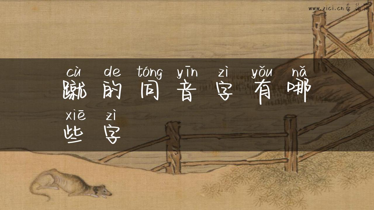 蹴的同音字有哪些字