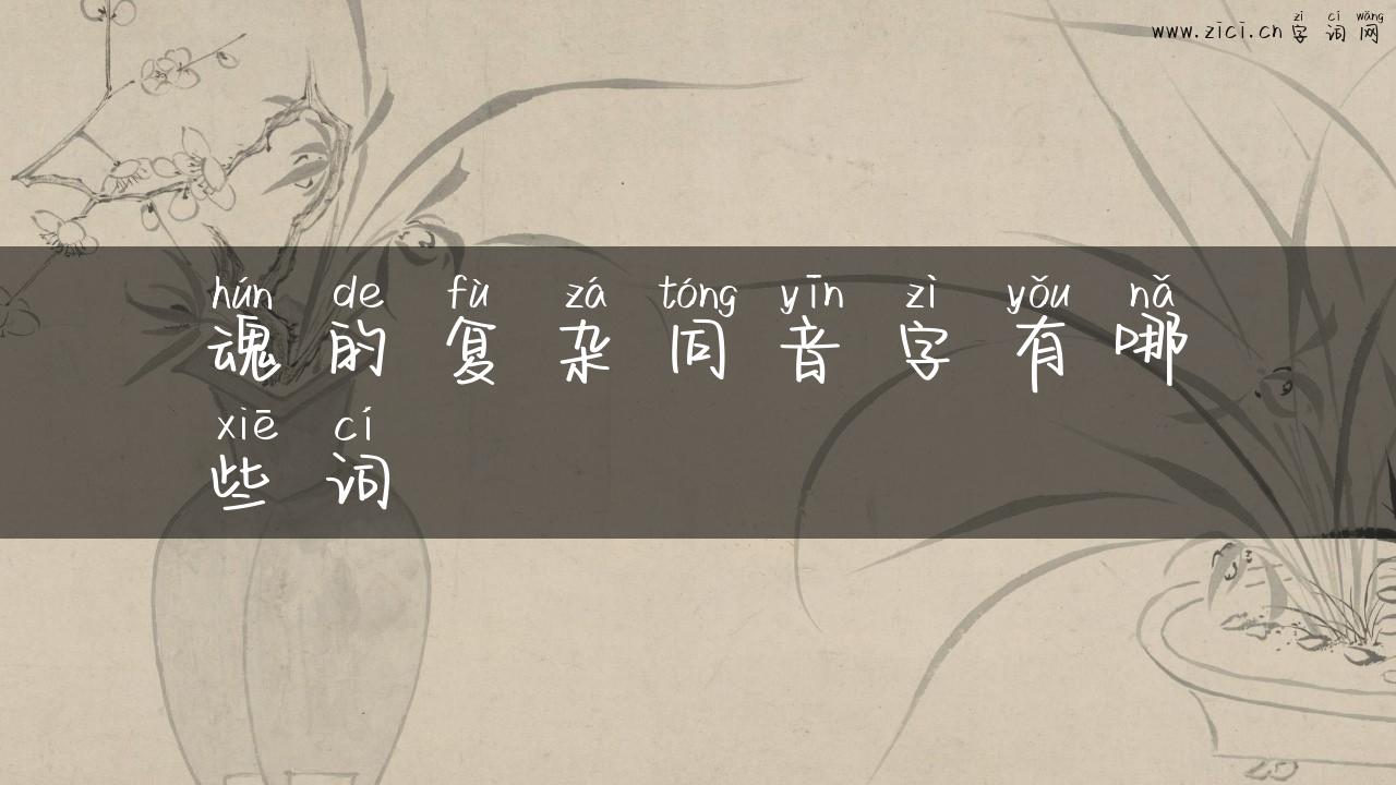 魂的复杂同音字有哪些词
