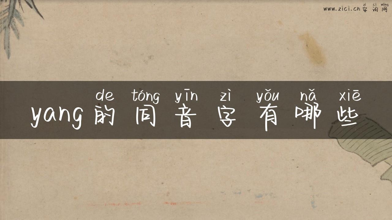 yang的同音字有哪些