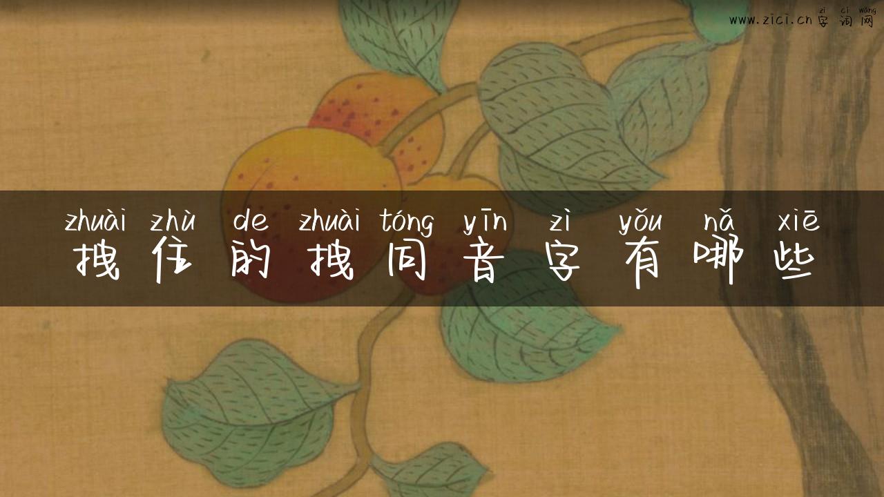 拽住的拽同音字有哪些