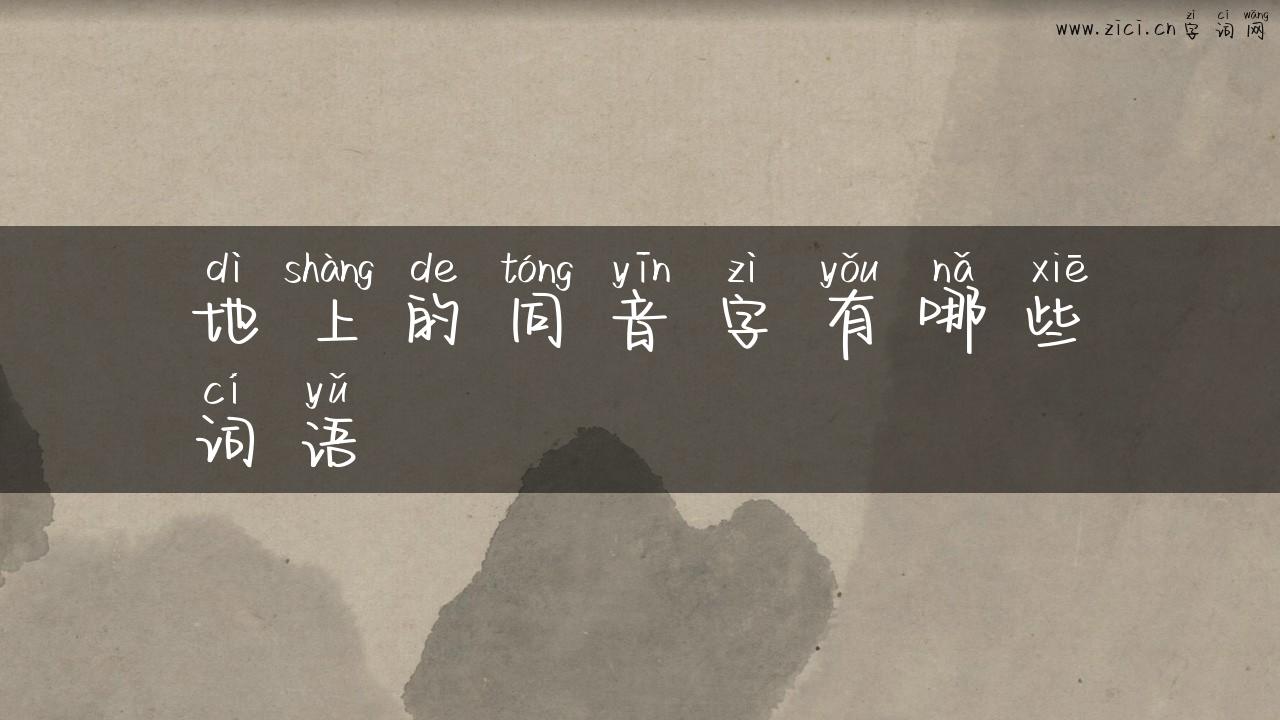 地上的同音字有哪些词语