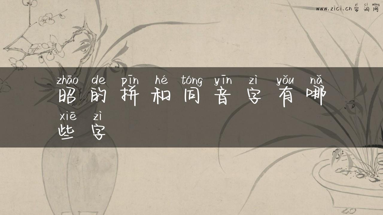 昭的拼和同音字有哪些字