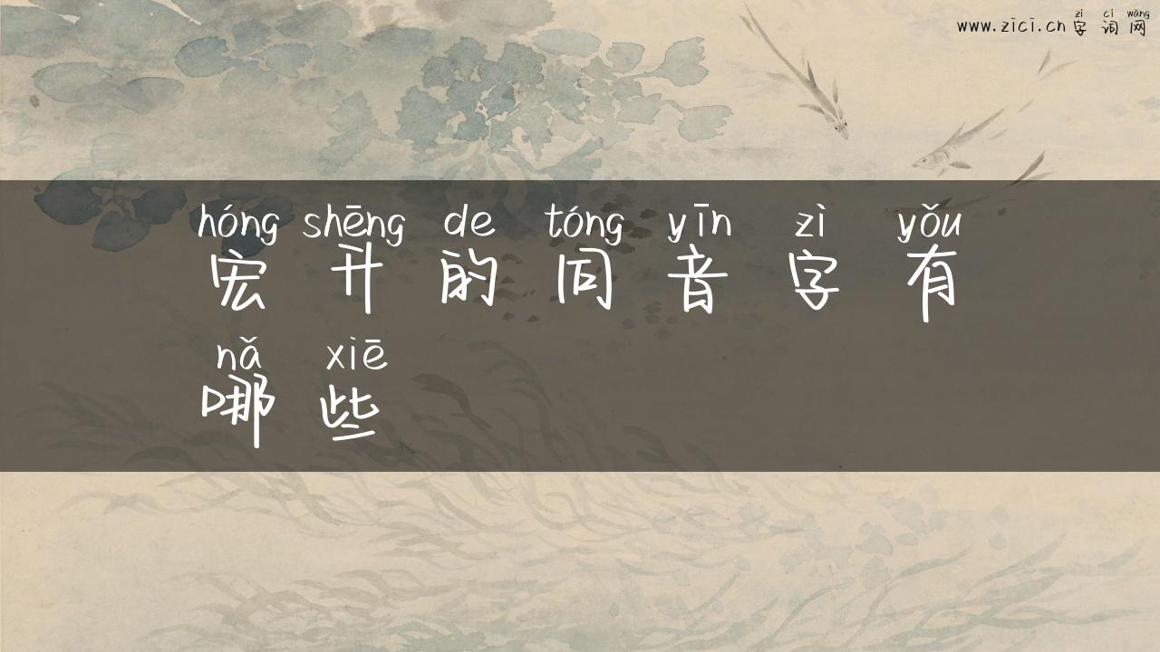 宏升的同音字有哪些