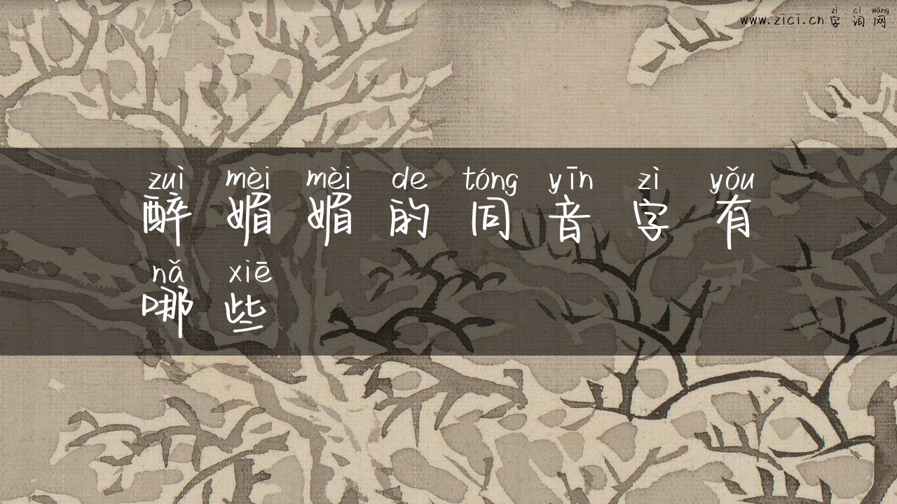 醉媚媚的同音字有哪些