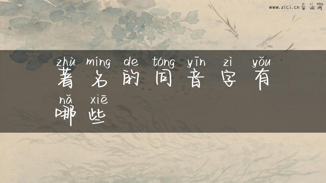 著名的同音字有哪些