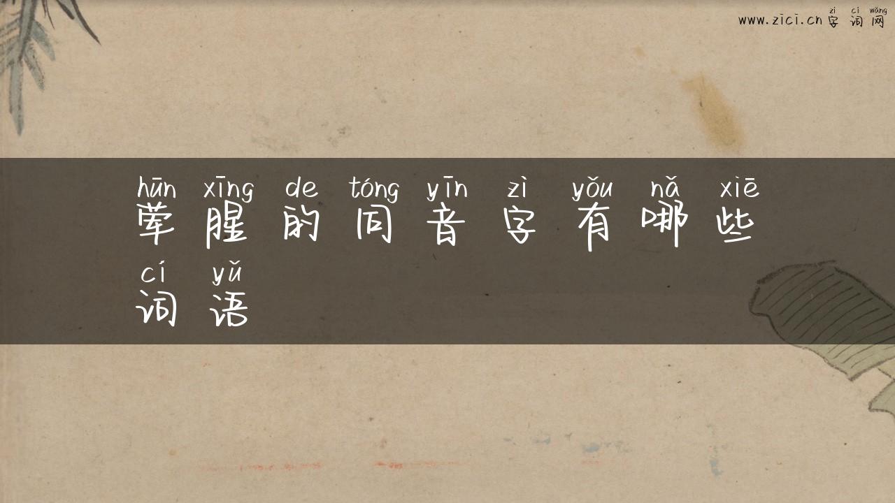 荤腥的同音字有哪些词语