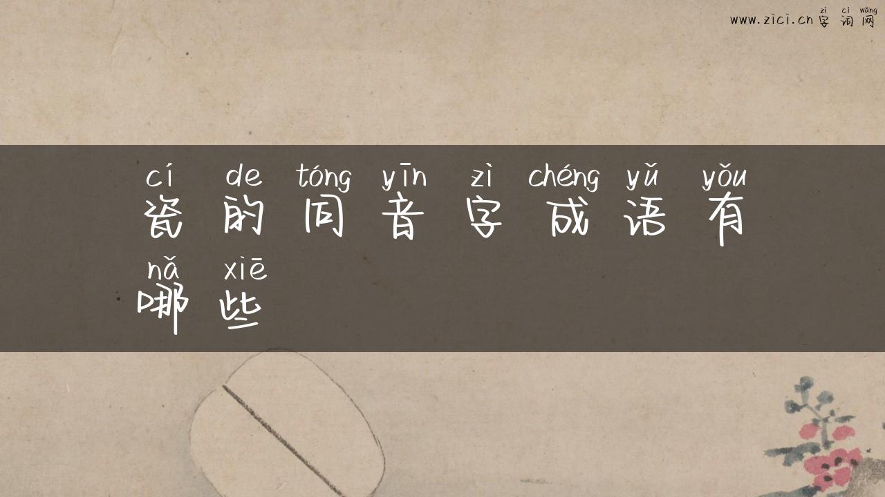 瓷的同音字成语有哪些