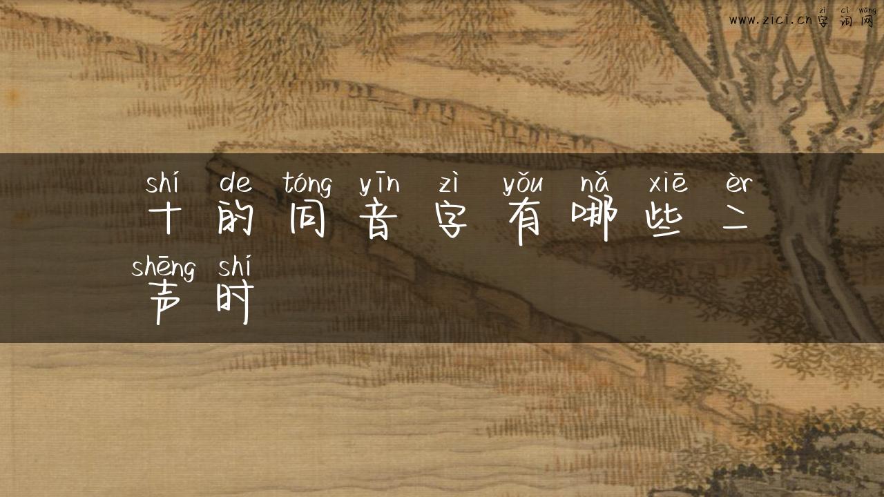 十的同音字有哪些二声时