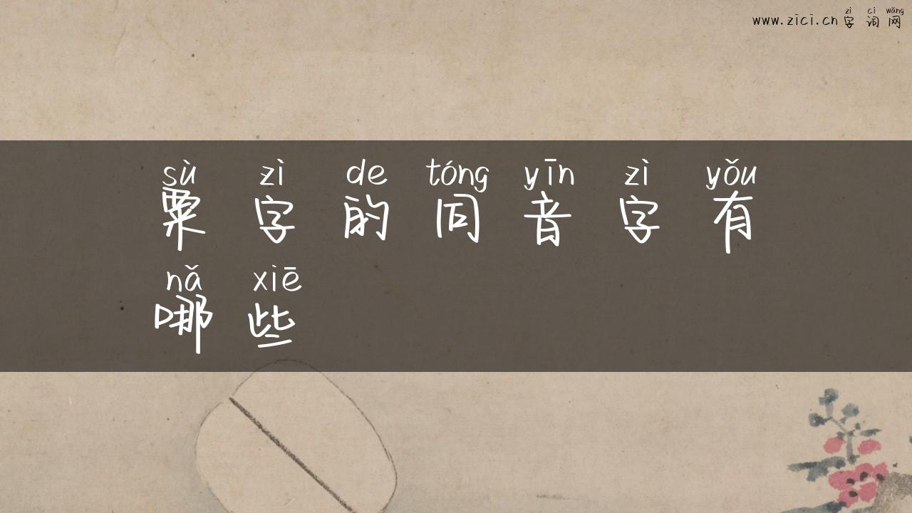 粟字的同音字有哪些