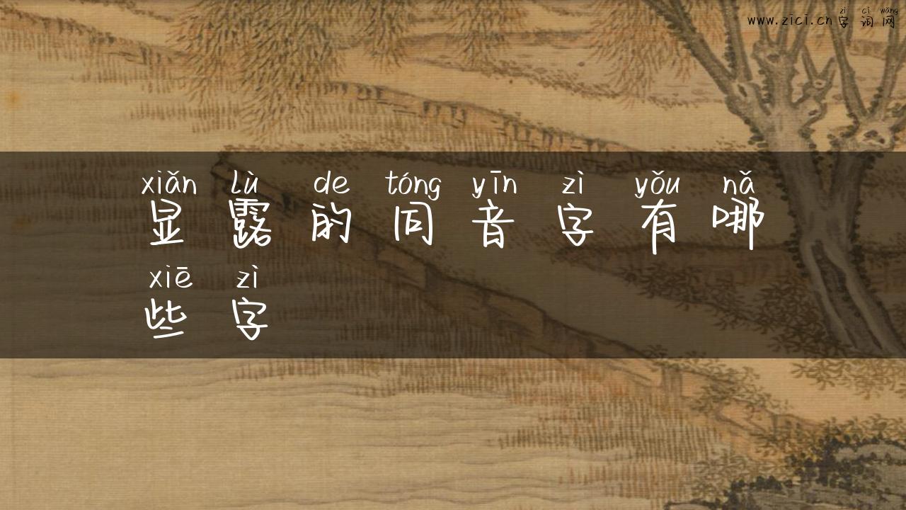 显露的同音字有哪些字