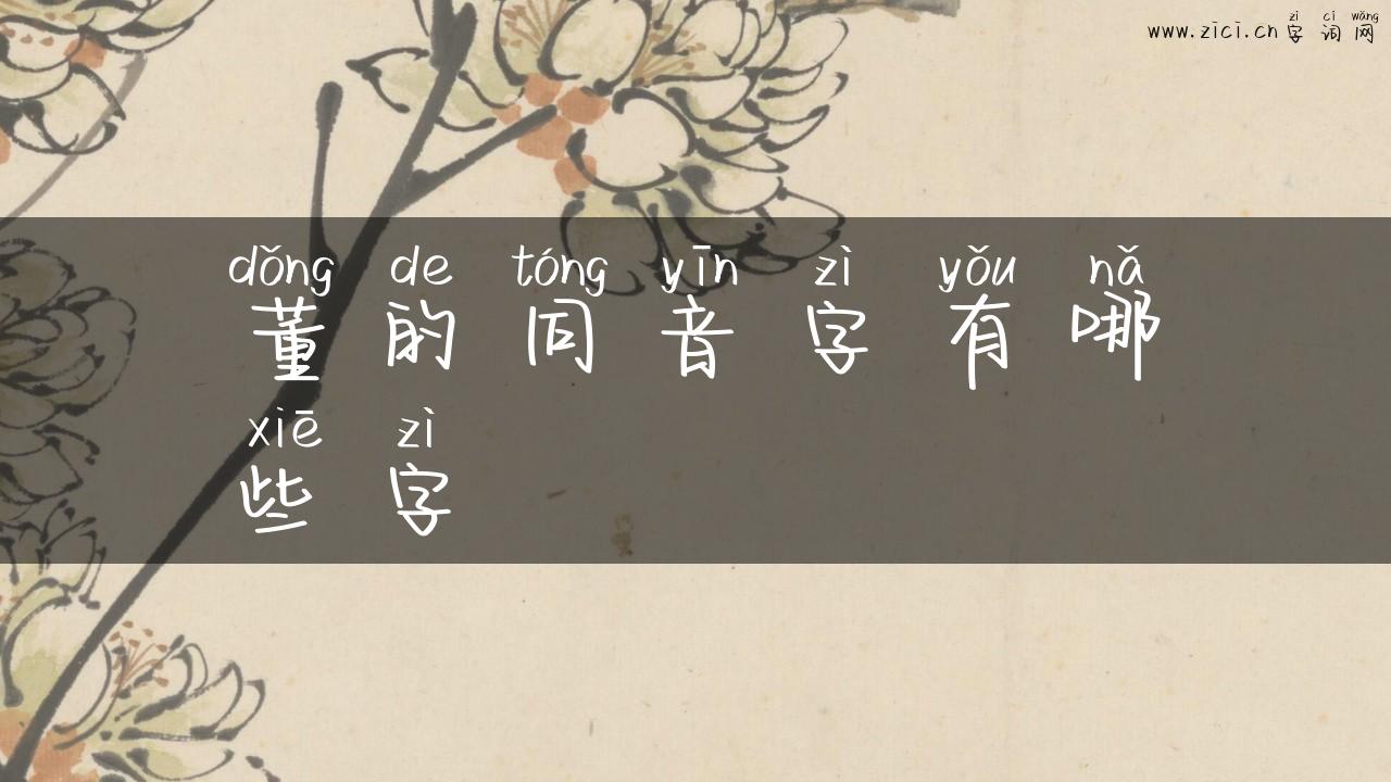 董的同音字有哪些字