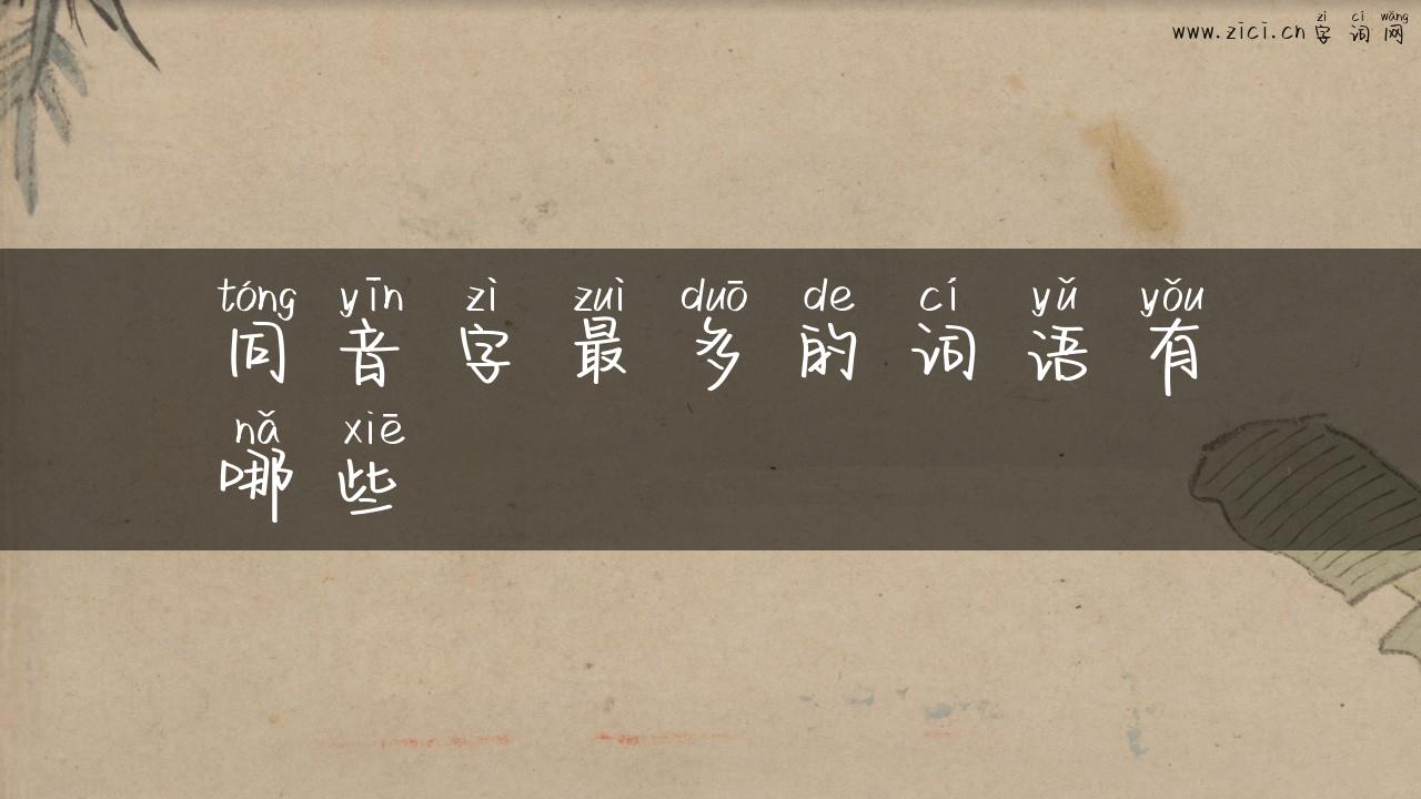 同音字最多的词语有哪些