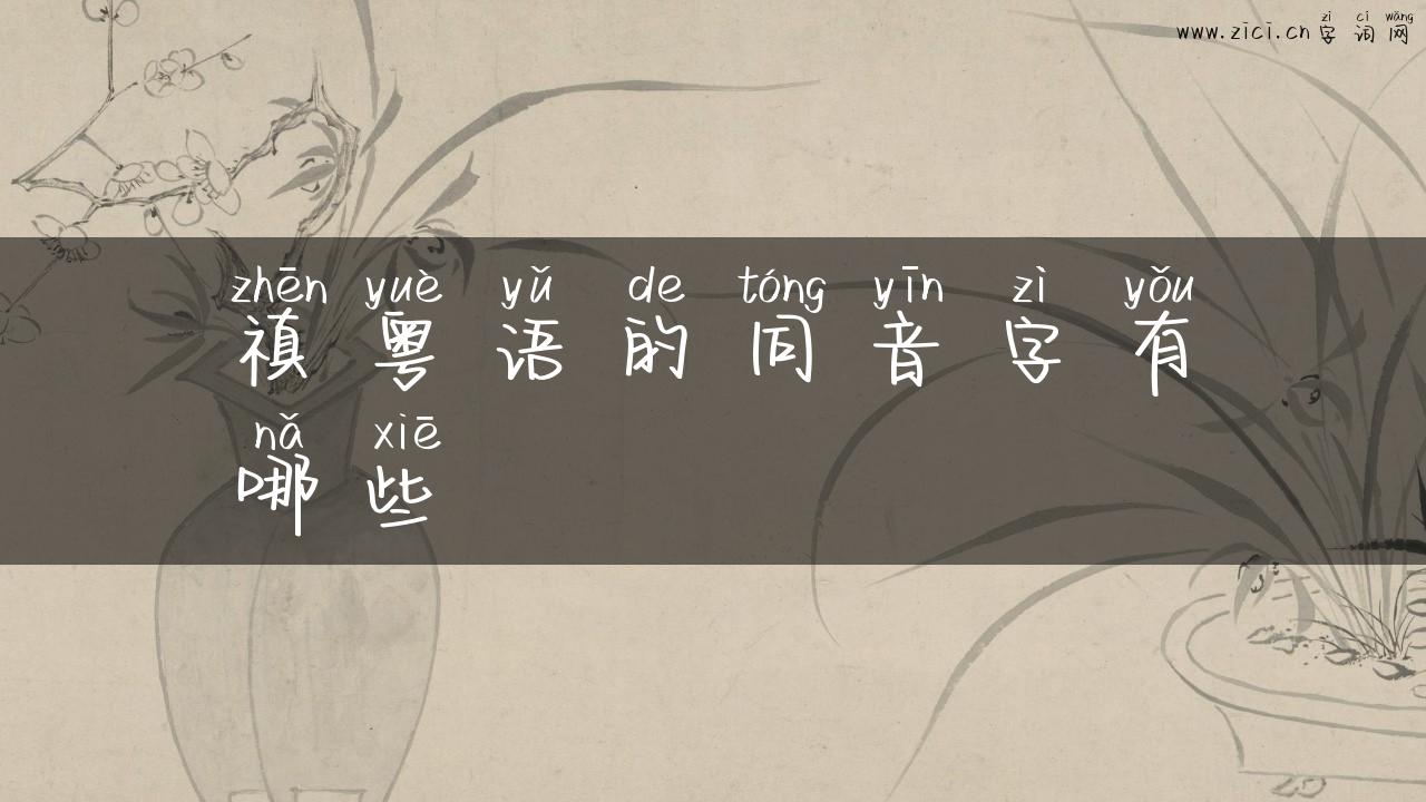 禛粤语的同音字有哪些