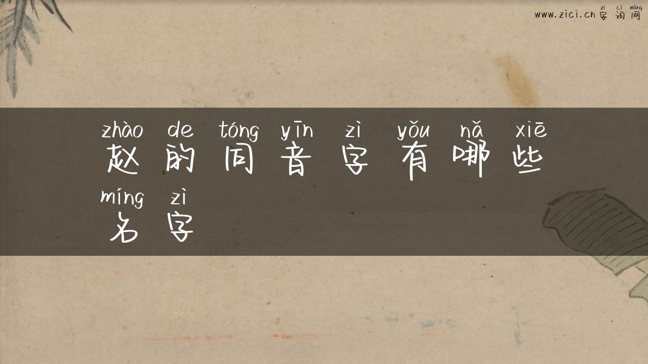 赵的同音字有哪些名字