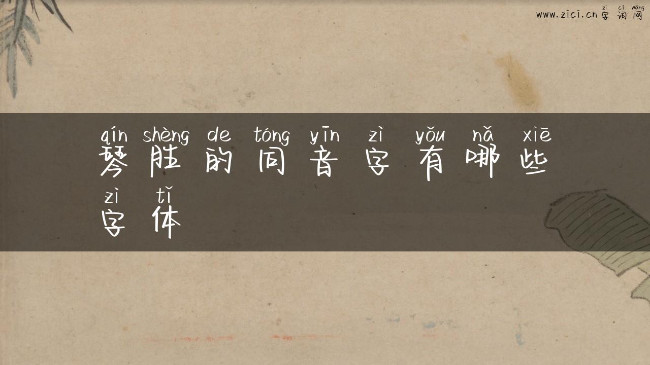 琴胜的同音字有哪些字体