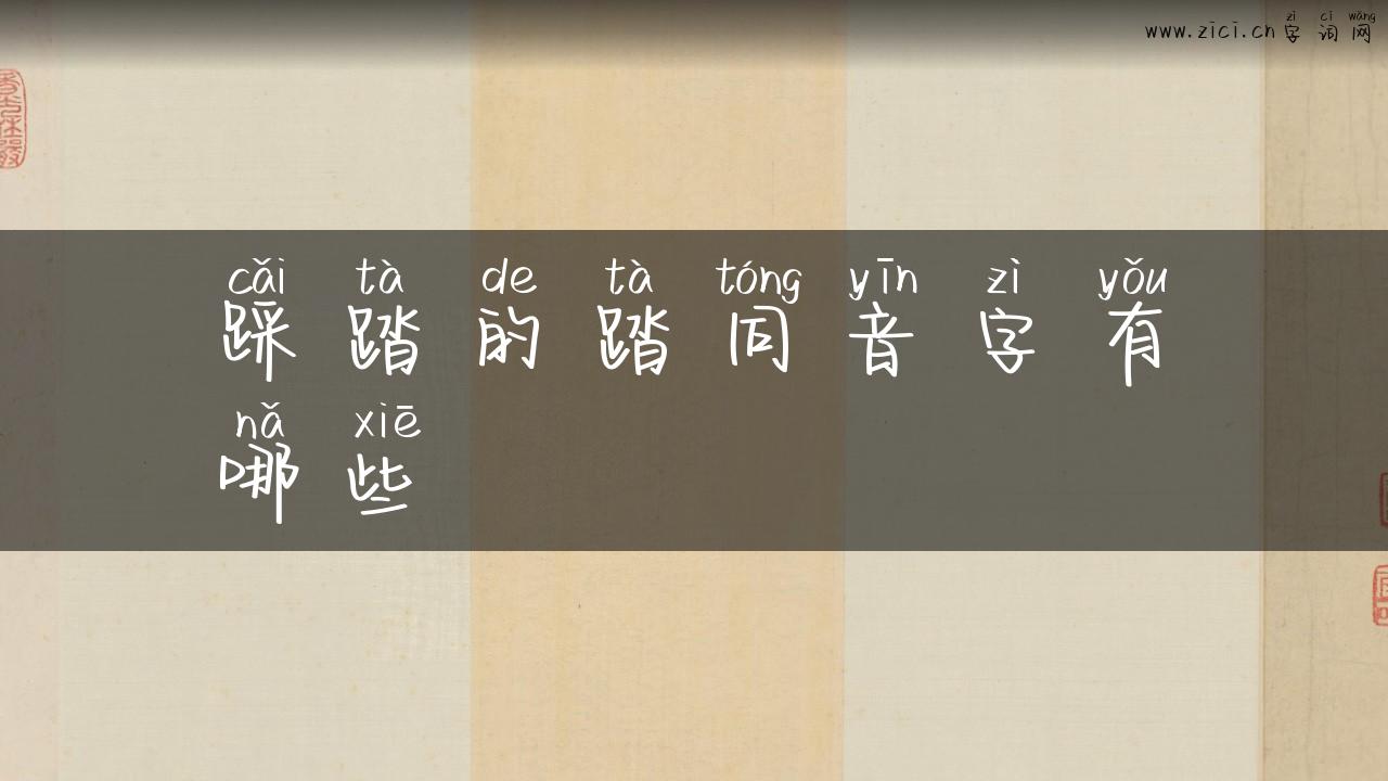 踩踏的踏同音字有哪些