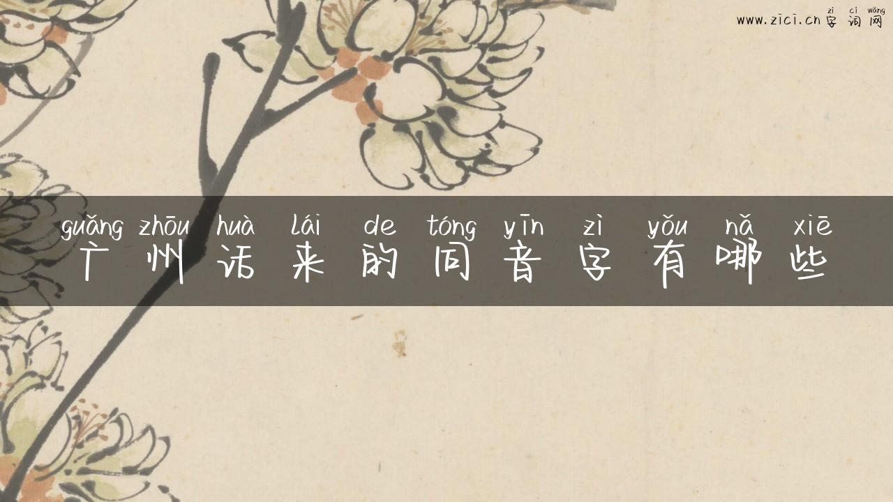 广州话来的同音字有哪些