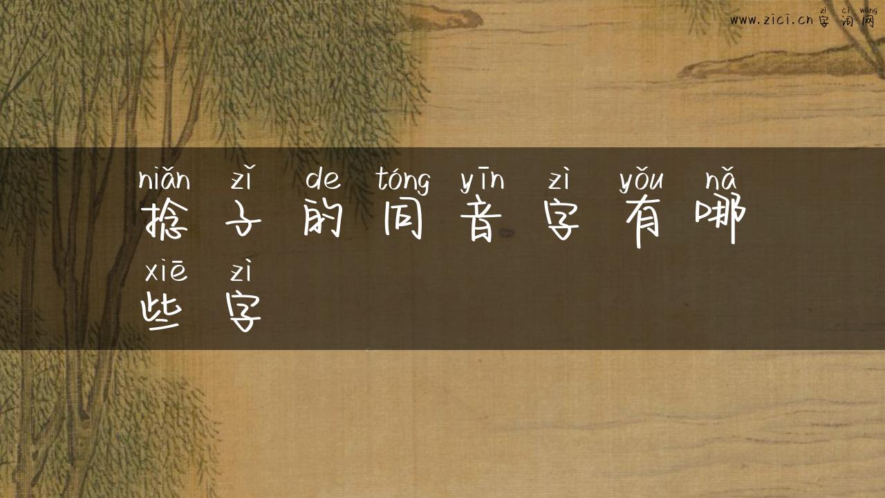 捻子的同音字有哪些字