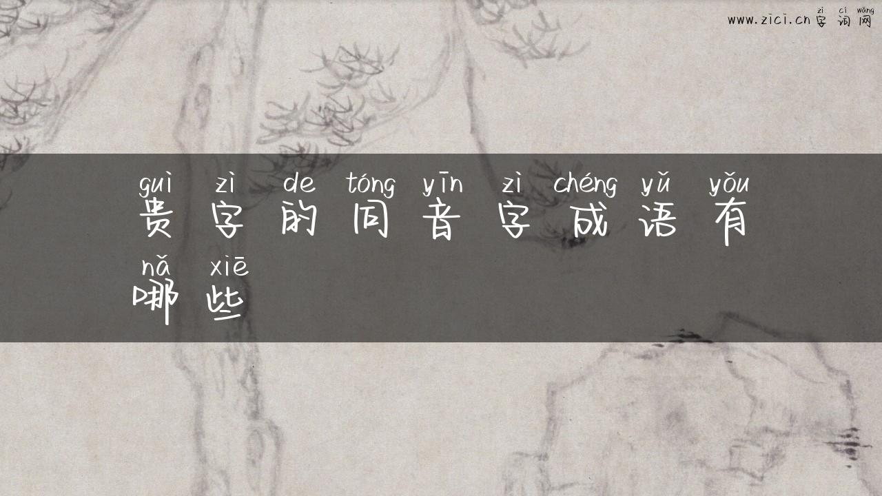 贵字的同音字成语有哪些