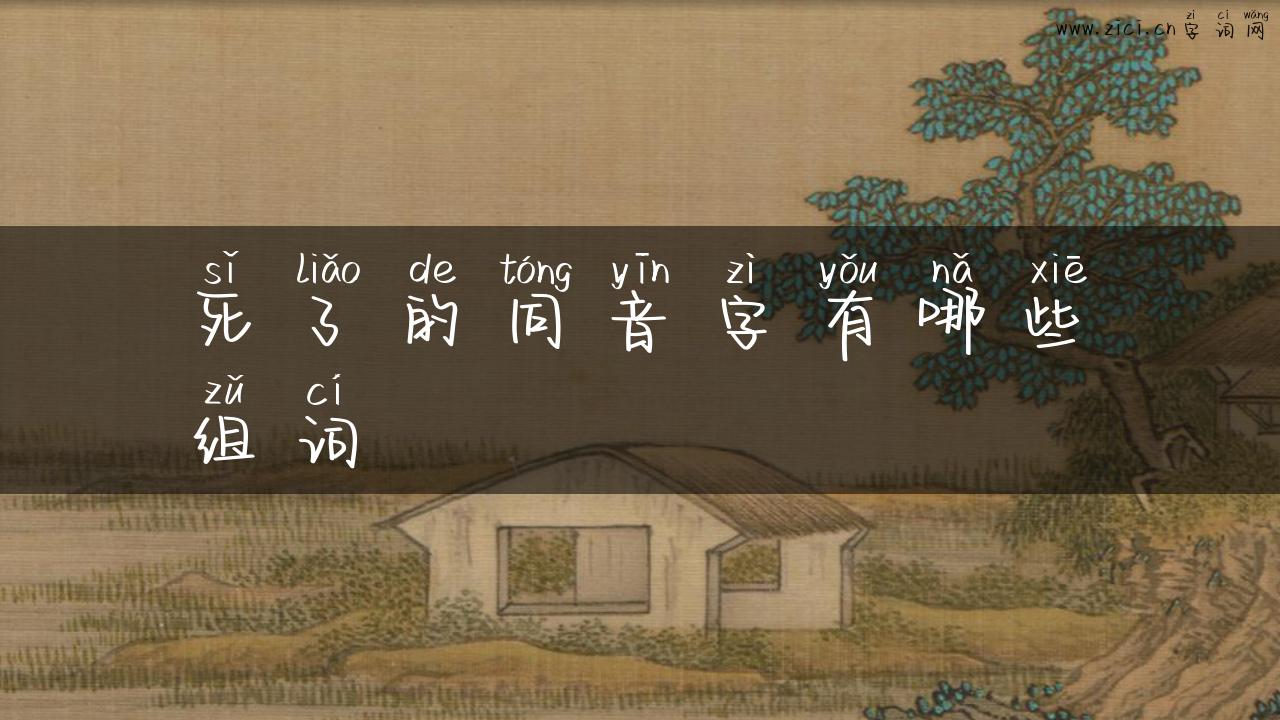 死了的同音字有哪些组词