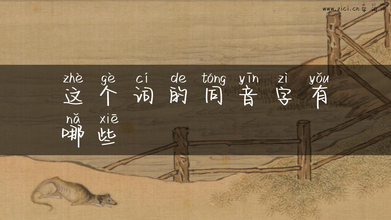 这个词的同音字有哪些