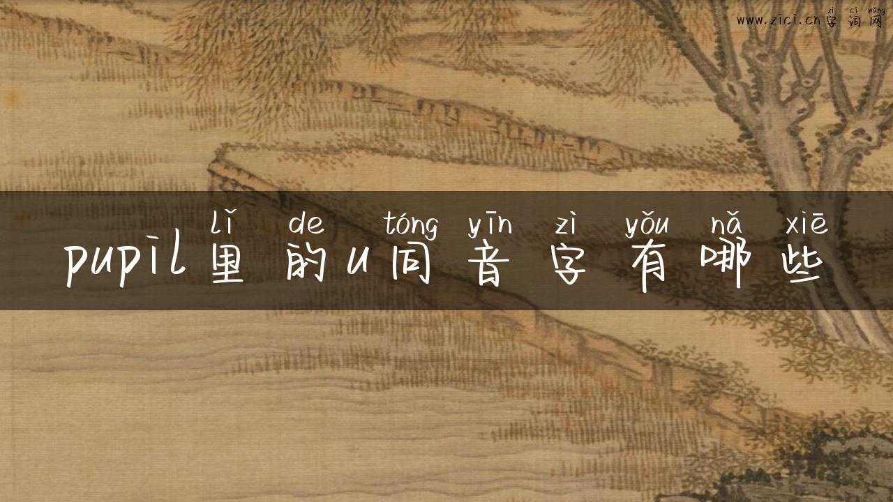 pupil里的u同音字有哪些