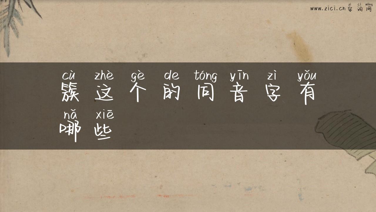 簇这个的同音字有哪些