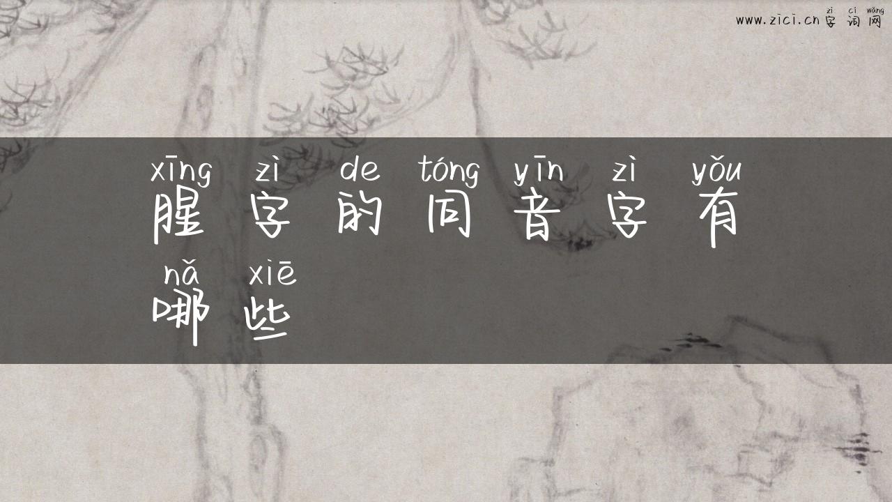 腥字的同音字有哪些