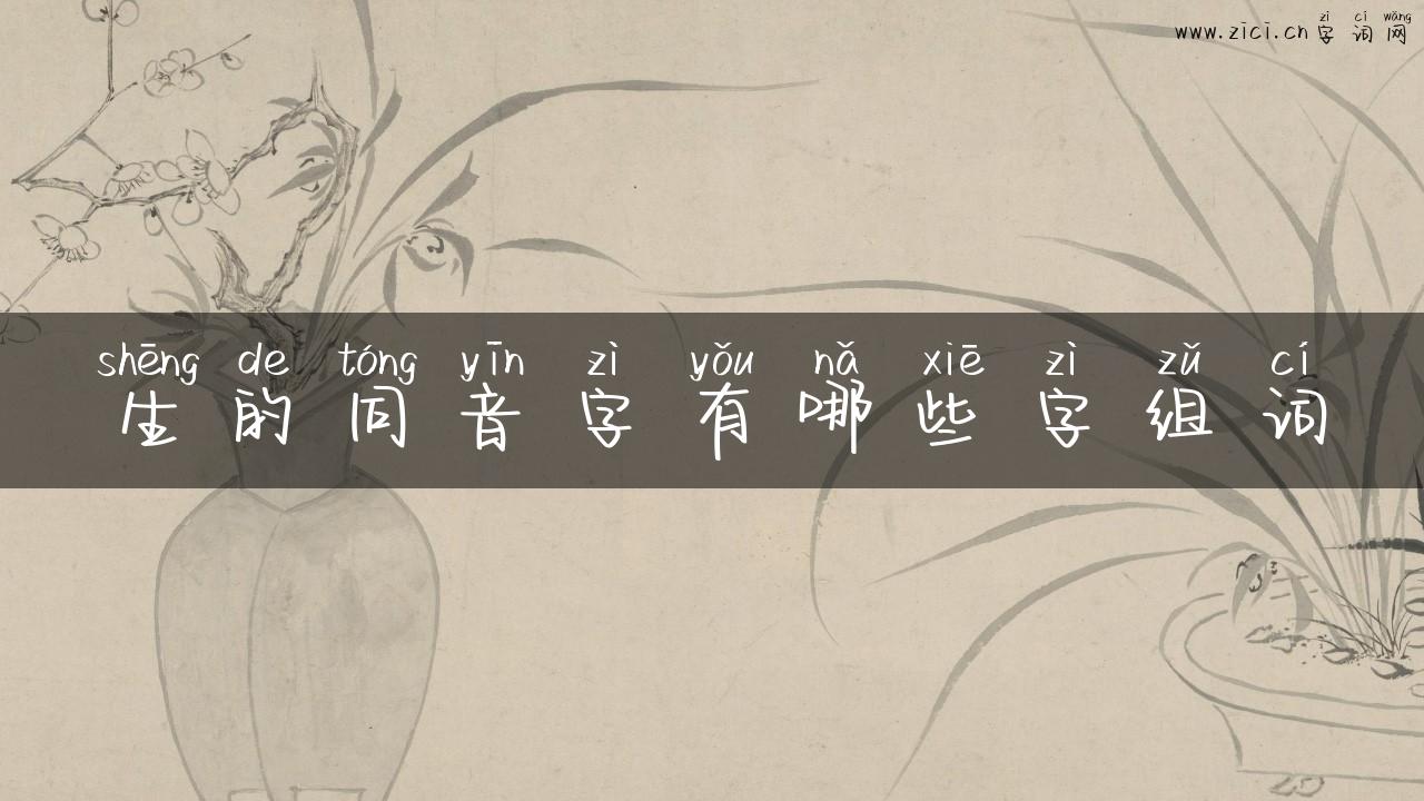 生的同音字有哪些字组词