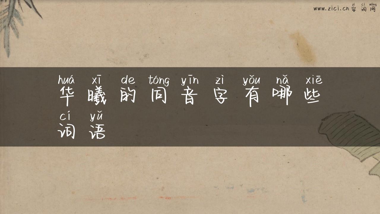 华曦的同音字有哪些词语