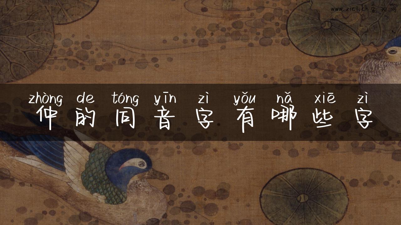 仲的同音字有哪些字