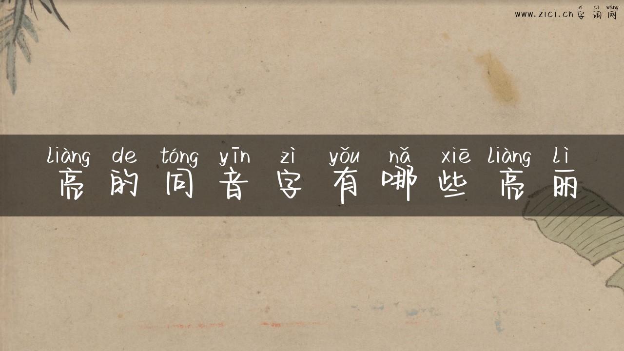 亮的同音字有哪些亮丽