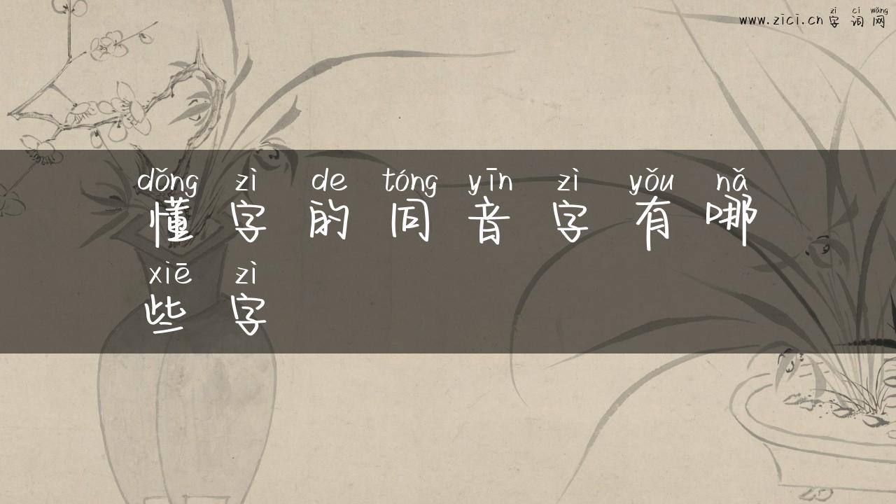 懂字的同音字有哪些字