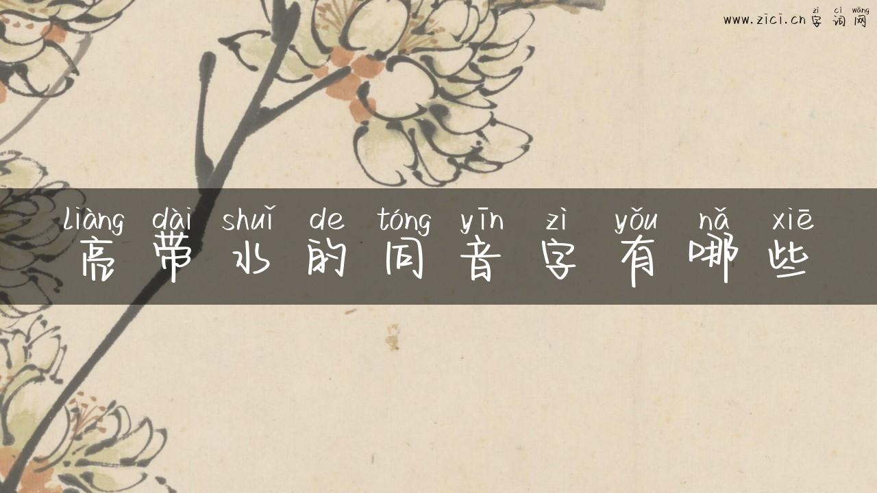 亮带水的同音字有哪些