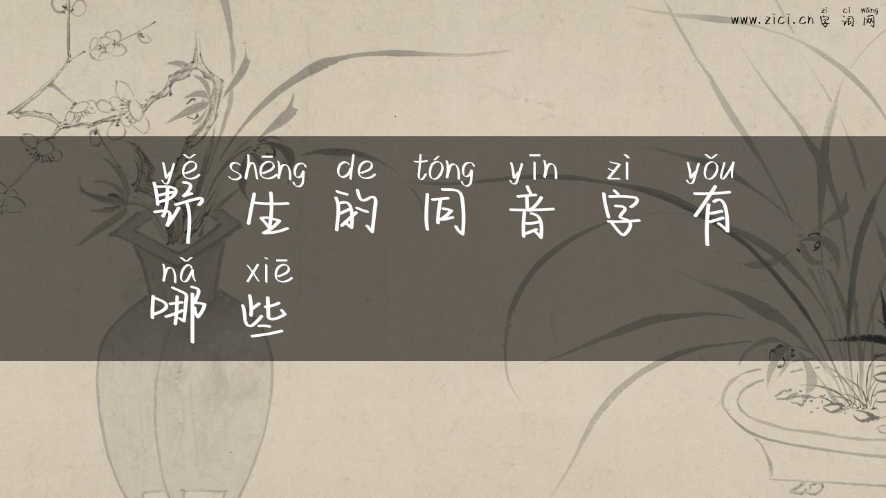 野生的同音字有哪些